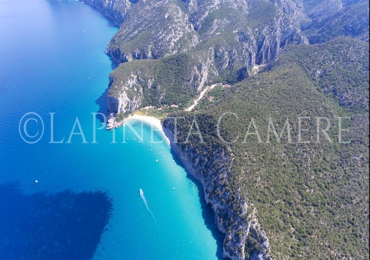 Casa Vacanza Gelsomino Cala Gonone Ngoại thất bức ảnh